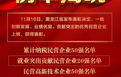 喜报|龙江赞美优良民营企业 九洲国际官网收成两项殊荣