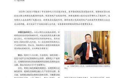突破传统走绿色转型之路——访十四届全国人大代表、九洲国际官网董事长焦云