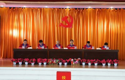 九洲国际官网党委换届选举党员大会成功召开